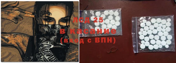 ГАЛЛЮЦИНОГЕННЫЕ ГРИБЫ Алексин