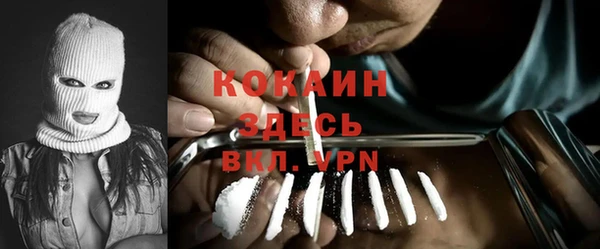 крисы Алзамай
