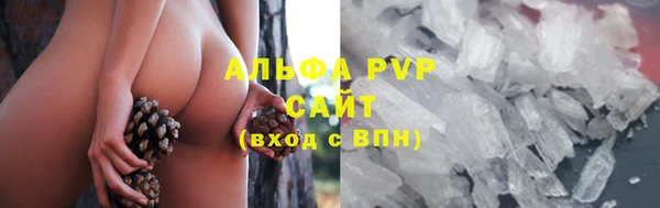 крисы Алзамай