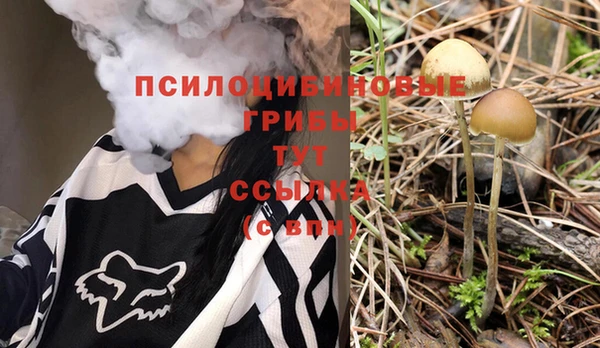 крисы Алзамай