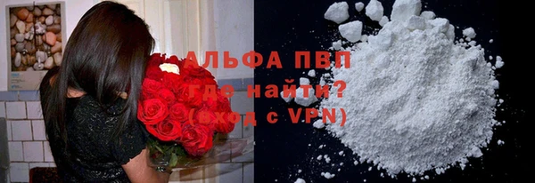крисы Алзамай