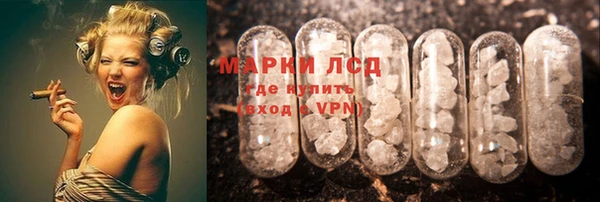 крисы Алзамай